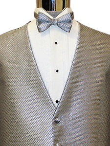 Metallic Silver Reflections with Bow