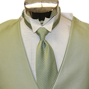 Celedon Tango with Windsor