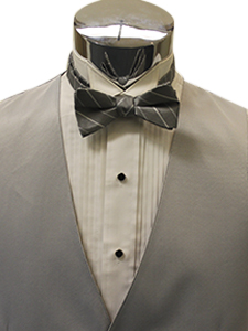 Platinum Modern Solid with Bow