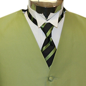 Kiwi Armano Black Stripe with Windsor