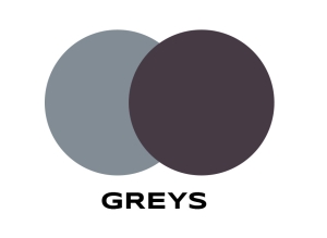 Greys color swatch
