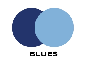 Blues color swatch